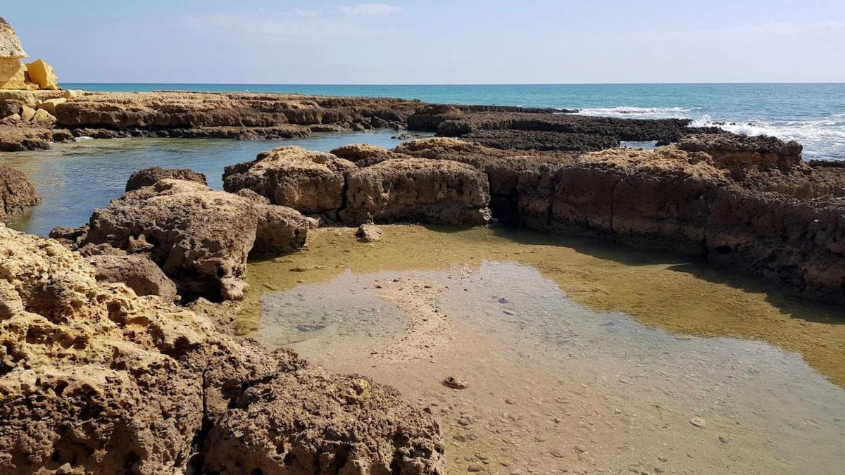 Апартаменты Albufeira Sea View Экстерьер фото