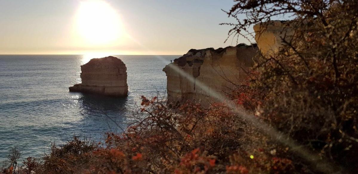 Апартаменты Albufeira Sea View Экстерьер фото